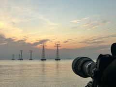 -宝安西湾红树林湿地公园