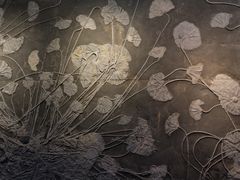 -辽宁古生物博物馆