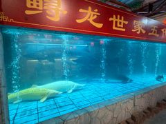 -年辉渔村·非遗传承餐厅(新丰江店)