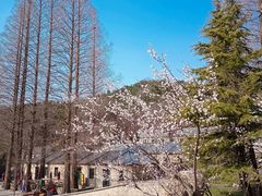 -昆嵛山石门里景区