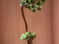 -文三酒肆自助放题(新街口友谊广场店)