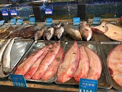 -浩运·海鲜青岛菜·海胆水饺(石老人店)