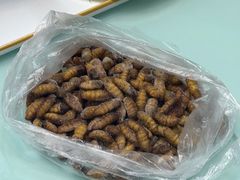 -新味都博山菜