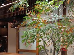 -贡宴盐帮菜自贡驻京联络处餐厅