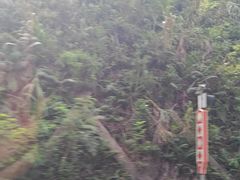 -东部华侨城