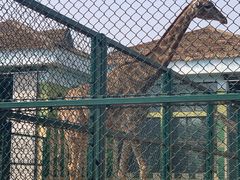 -秦皇岛野生动物园