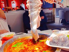 -蜀滋香鲜鱼美蛙火锅(339店)