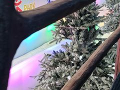 -世界之窗阿尔卑斯冰雪世界