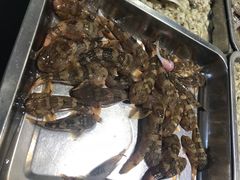 -杨记海鲜楼(三门黑金冠店)