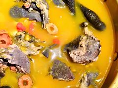 -Darling Queen·Mini·Live·House