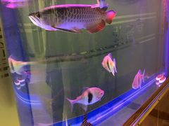 -弘善堂推拿调理