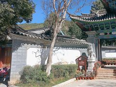 -黑龙潭公园