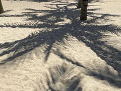 -玫瑰海岸文化旅游度假区