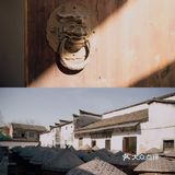 游埠早茶｜来追一场烟火气～