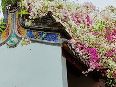 -深圳国际园林花卉博览园