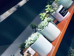 -何兮花店·气球派对鲜花店(马桥银春路万科城店)