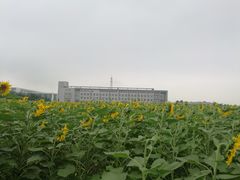-南京信息职业技术学院