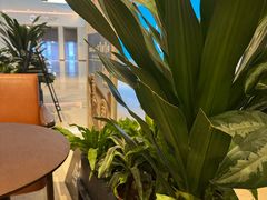 -Peet's 皮爷咖啡(深圳湾万象城店)
