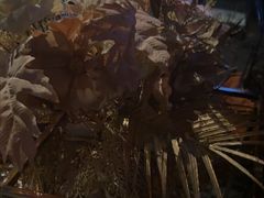 -黑桃K生日订制KTV