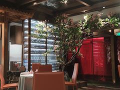 -星·South Beauty·俏江南(国贸店)