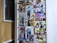 -青奢宠物·青奢猫舍