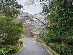 -幕燕滨江·长江观音景区