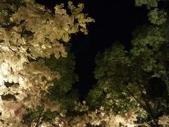 -横店影视城梦幻谷园区