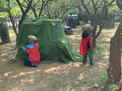 -亲兄弟真人CS团建拓展基地