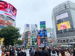 -涩谷全向十字路口