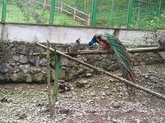 -藏龙百瀑风景区