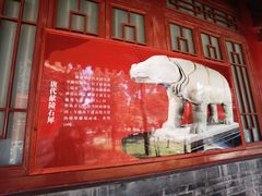 -西安碑林博物馆