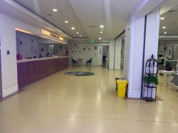 点击看大图 -重庆军科整形美容医院