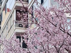 -南长河公园