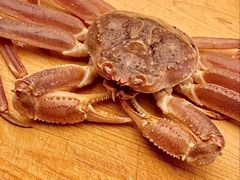-鳥喜Toriki怀石烧鸟料理