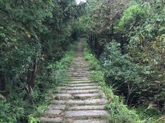 -大罗山风景区