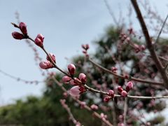 -北京十三陵国家森林公园蟒山景区