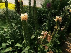 -中国天府农业博览园