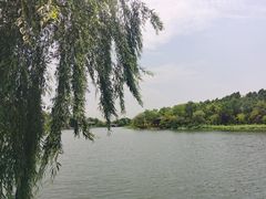-上海怡沁园度假酒店