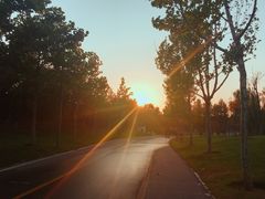 景点-西安世博园