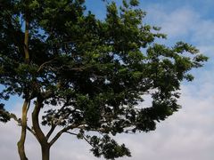 -青岛第三海水浴场