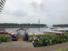 -白洋淀景区