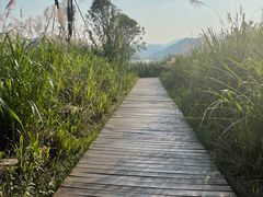 -杭州桐庐康莱德酒店西餐厅-舍