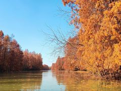 -上海海湾国家森林公园