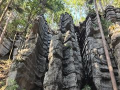 -梭布垭石林景区