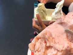 -野人牧坊Gelato(天津南开大悦城店)