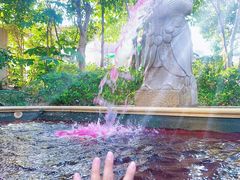 -苏州湾·王焰温泉