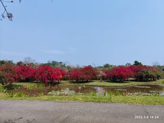 -中国科学院西双版纳热带植物园