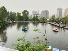 -望溪公园