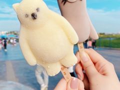 -上海海昌海洋公园