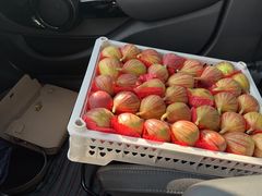 -西郊国际农产品交易中心